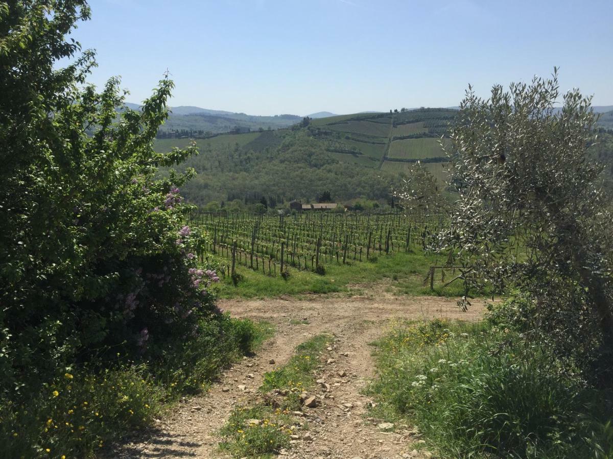 Casa Ana Appartement Greve in Chianti Buitenkant foto