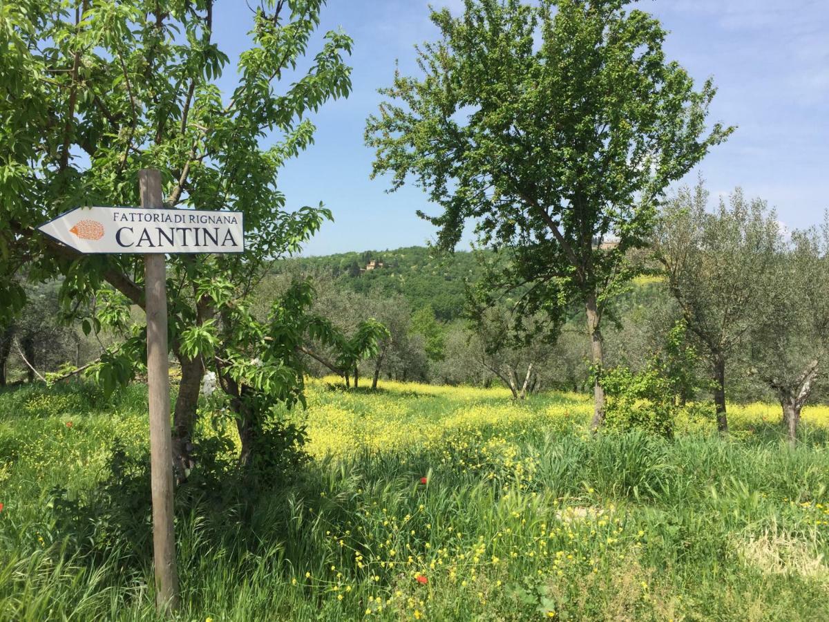 Casa Ana Appartement Greve in Chianti Buitenkant foto